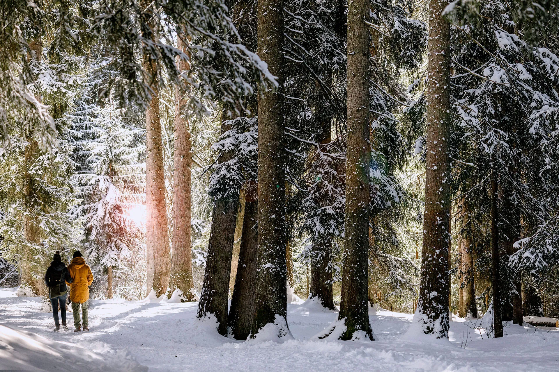 Zwei Personen wandern durch winterlichen Wald